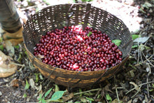 Load image into Gallery viewer, Ethiopia Bartee Galgaloo