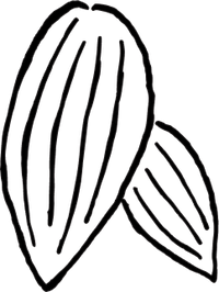 Components